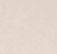 Copanel bardage composite Coloris Naturel